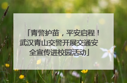 青警护苗，平安启程！武汉青山交警开展交通安全宣传进校园活动