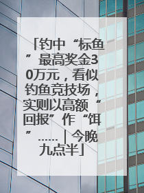 钓中“标鱼”最高奖金30万元，看似钓鱼竞技场，实则以高额“回报”作“饵”……｜今晚九点半