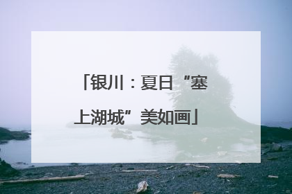 银川：夏日“塞上湖城”美如画