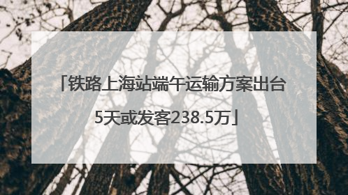 铁路上海站端午运输方案出台 5天或发客238.5万