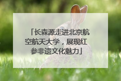 长森源走进北京航空航天大学，展现红参非遗文化魅力