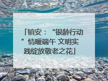 镇安：“银龄行动”情暖端午 文明实践绽放敬老之花