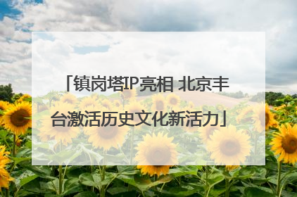 镇岗塔IP亮相 北京丰台激活历史文化新活力