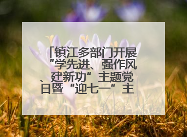 镇江多部门开展“学先进、强作风、建新功”主题党日暨“迎七一”主题活动
