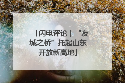 闪电评论｜“友城之桥”托起山东开放新高地
