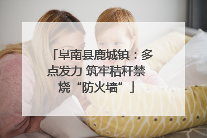 阜南县鹿城镇：多点发力 筑牢秸秆禁烧“防火墙”