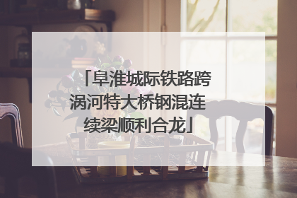阜淮城际铁路跨涡河特大桥钢混连续梁顺利合龙