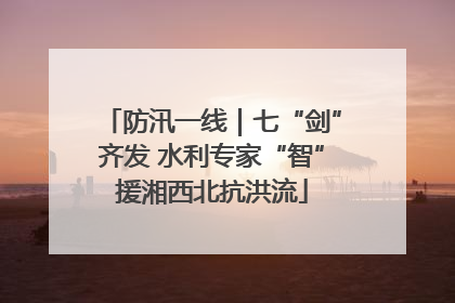 防汛一线｜七“剑”齐发 水利专家“智”援湘西北抗洪流