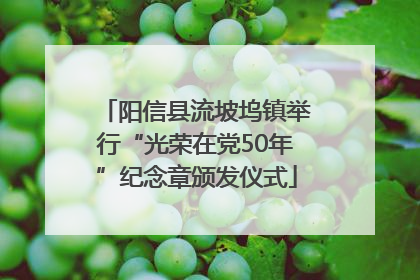 阳信县流坡坞镇举行“光荣在党50年”纪念章颁发仪式