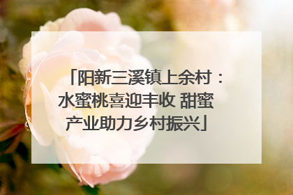 阳新三溪镇上余村：水蜜桃喜迎丰收 甜蜜产业助力乡村振兴
