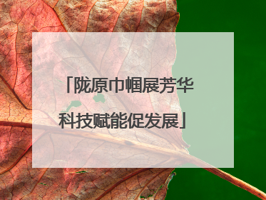 陇原巾帼展芳华 科技赋能促发展