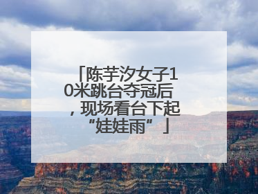 陈芋汐女子10米跳台夺冠后，现场看台下起“娃娃雨”
