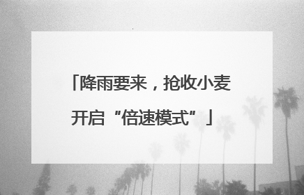 降雨要来，抢收小麦开启“倍速模式”