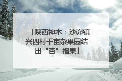 陕西神木：沙峁镇兴四村千亩杂果园结出“杏”福果