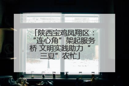 陕西宝鸡凤翔区：“连心角”架起服务桥 文明实践助力“三夏”农忙