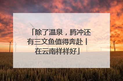 除了温泉，腾冲还有三文鱼值得奔赴丨在云南样样好