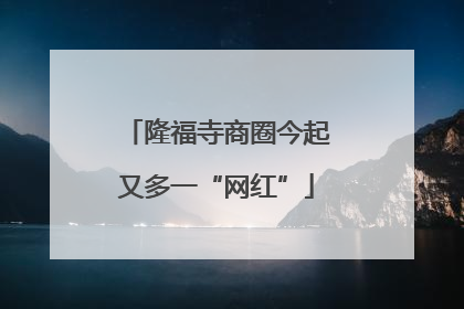 隆福寺商圈今起又多一“网红”