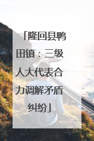 隆回县鸭田镇：三级人大代表合力调解矛盾纠纷