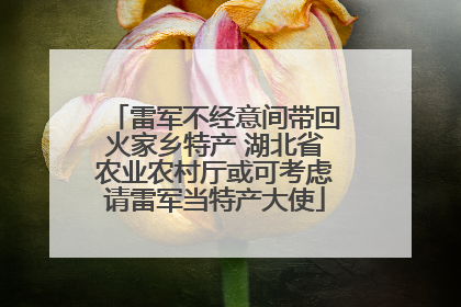 雷军不经意间带回火家乡特产 湖北省农业农村厅或可考虑请雷军当特产大使