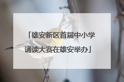 雄安新区首届中小学诵读大赛在雄安举办