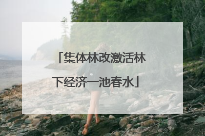 集体林改激活林下经济一池春水