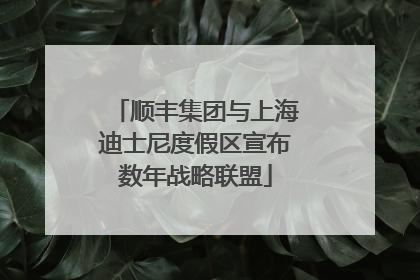 顺丰集团与上海迪士尼度假区宣布数年战略联盟
