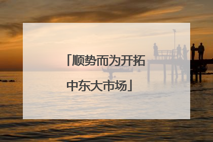 顺势而为开拓中东大市场