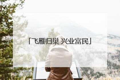 飞雁归巢 兴业富民