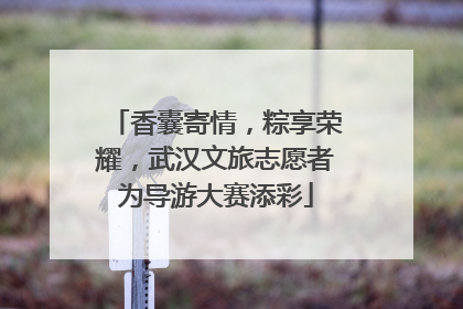 香囊寄情，粽享荣耀，武汉文旅志愿者为导游大赛添彩