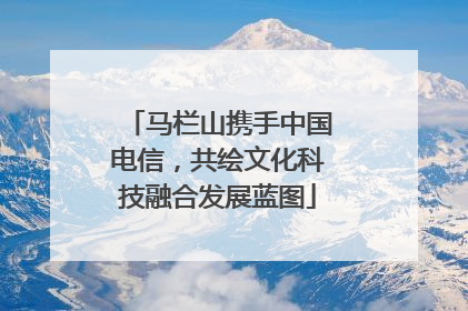 马栏山携手中国电信，共绘文化科技融合发展蓝图
