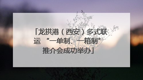 龙拱港（西安）多式联运 “一单制、一箱制” 推介会成功举办