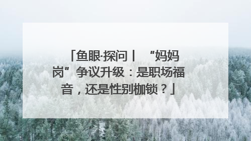 鱼眼·探问丨 “妈妈岗”争议升级：是职场福音，还是性别枷锁？