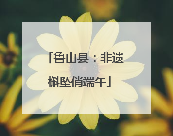 鲁山县：非遗槲坠俏端午