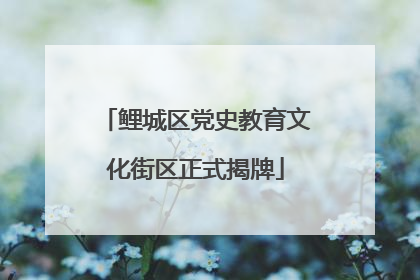 鲤城区党史教育文化街区正式揭牌