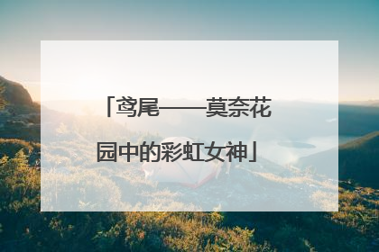 鸢尾——莫奈花园中的彩虹女神