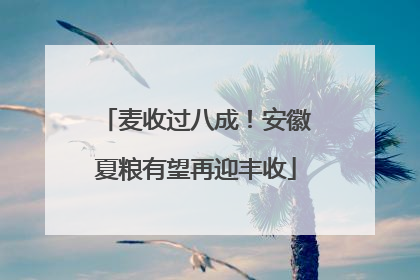麦收过八成！安徽夏粮有望再迎丰收