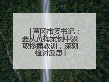 黄冈市委书记：要从黄梅案例中汲取惨痛教训，深刻检讨反思