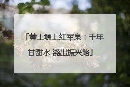 黄土塬上红军泉：千年甘甜水 浇出振兴路