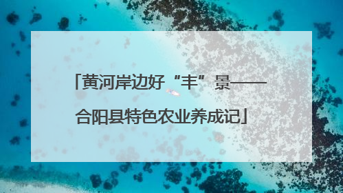 黄河岸边好“丰”景——合阳县特色农业养成记