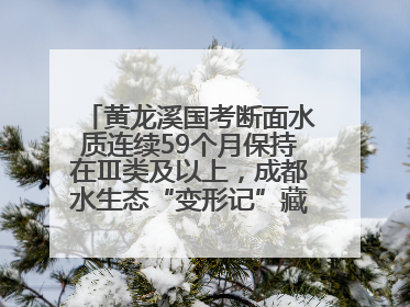 黄龙溪国考断面水质连续59个月保持在Ⅲ类及以上，成都水生态“变形记”藏着这些密码