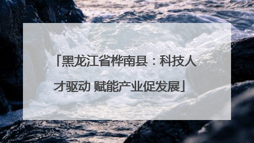 黑龙江省桦南县：科技人才驱动 赋能产业促发展