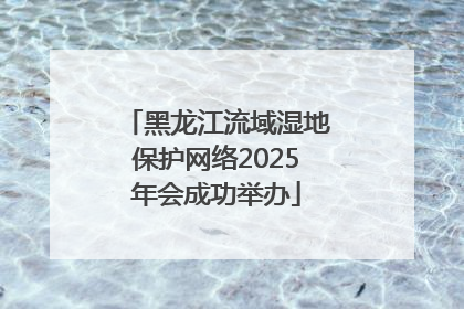 黑龙江流域湿地保护网络2025年会成功举办