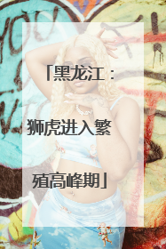 黑龙江：狮虎进入繁殖高峰期