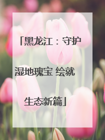 黑龙江：守护湿地瑰宝 绘就生态新篇