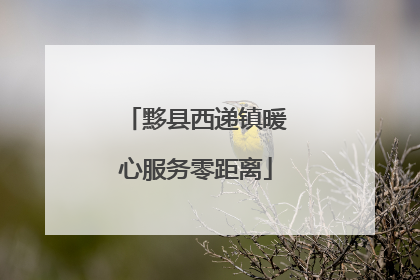 黟县西递镇暖心服务零距离