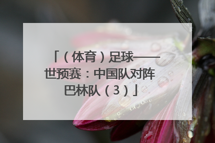 （体育）足球——世预赛：中国队对阵巴林队（3）