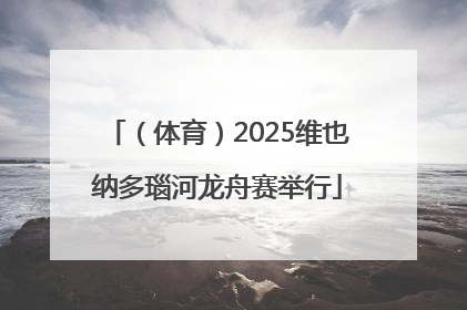 （体育）2025维也纳多瑙河龙舟赛举行