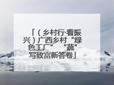 （乡村行·看振兴）广西乡村“绿色工厂” “蔬”写致富新答卷