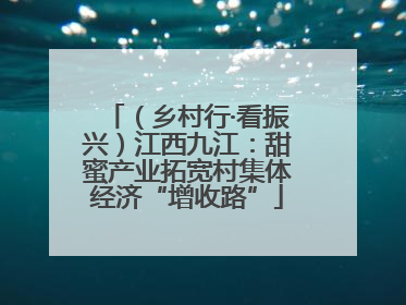 （乡村行·看振兴）江西九江：甜蜜产业拓宽村集体经济“增收路”