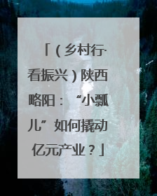 （乡村行·看振兴）陕西略阳：“小瓢儿”如何撬动亿元产业？